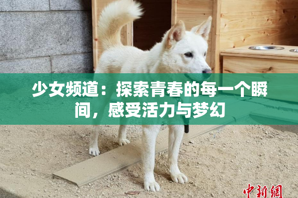 少女频道：探索青春的每一个瞬间，感受活力与梦幻