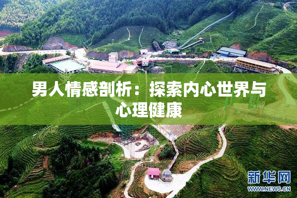 男人情感剖析：探索内心世界与心理健康