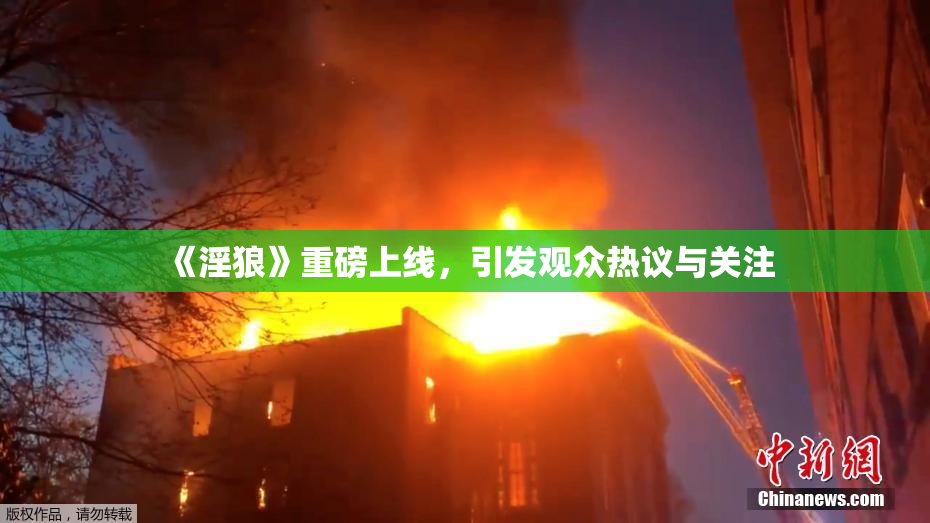 《淫狼》重磅上线，引发观众热议与关注
