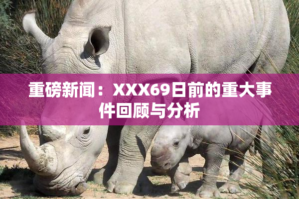 重磅新闻：XXX69日前的重大事件回顾与分析