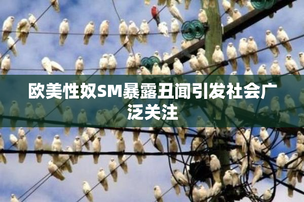 欧美性奴SM暴露丑闻引发社会广泛关注