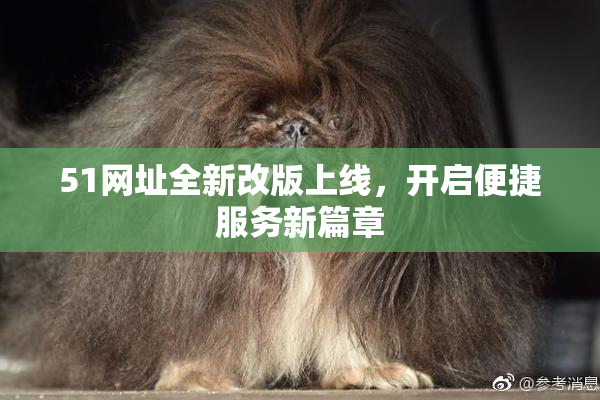 51网址全新改版上线，开启便捷服务新篇章