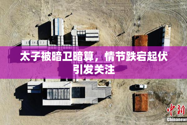 太子被暗卫暗算，情节跌宕起伏引发关注