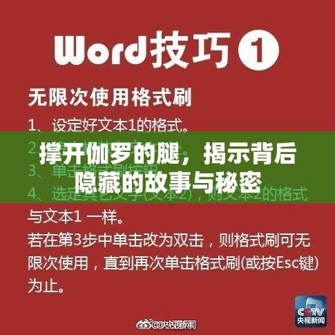 撑开伽罗的腿，揭示背后隐藏的故事与秘密