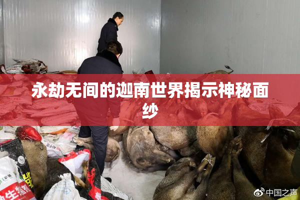 永劫无间的迦南世界揭示神秘面纱