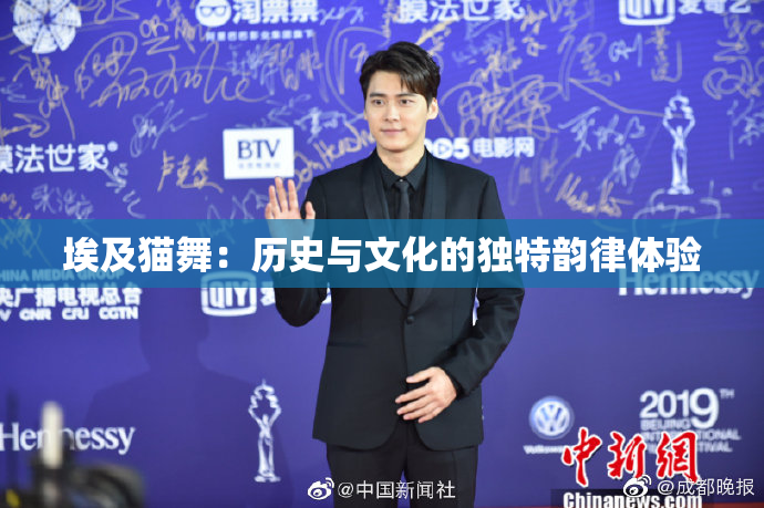 埃及猫舞：历史与文化的独特韵律体验