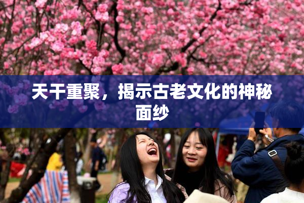 天干重聚，揭示古老文化的神秘面纱
