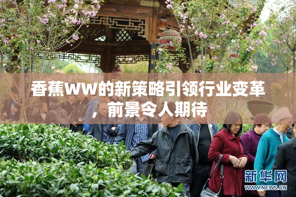香蕉WW的新策略引领行业变革，前景令人期待