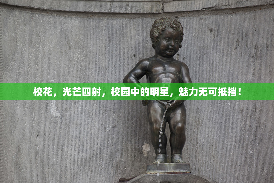 校花，光芒四射，校园中的明星，魅力无可抵挡！