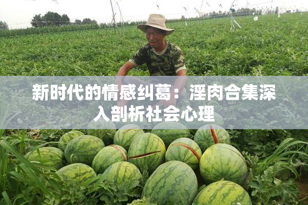 新时代的情感纠葛：淫肉合集深入剖析社会心理