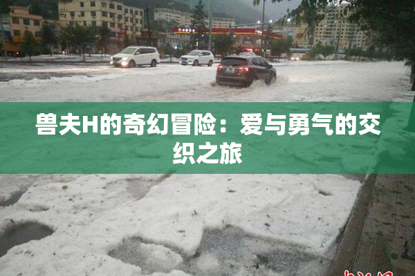 兽夫H的奇幻冒险：爱与勇气的交织之旅