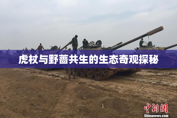虎杖与野蔷共生的生态奇观探秘