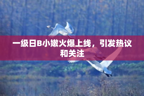 一级日B小嫩火爆上线，引发热议和关注