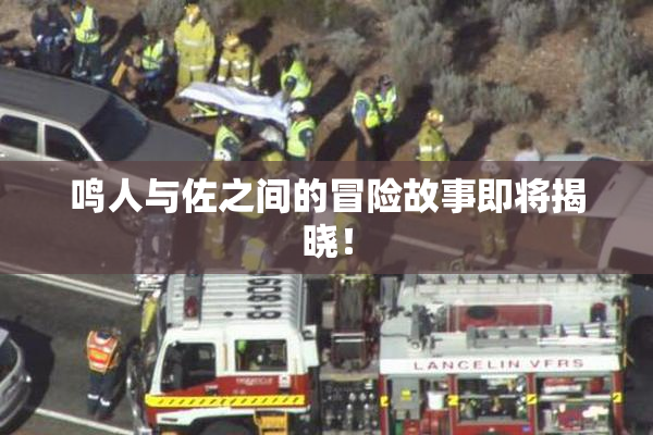 鸣人与佐之间的冒险故事即将揭晓！