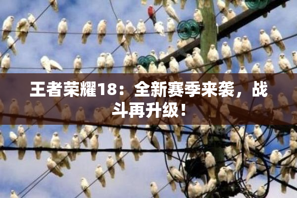 王者荣耀18：全新赛季来袭，战斗再升级！
