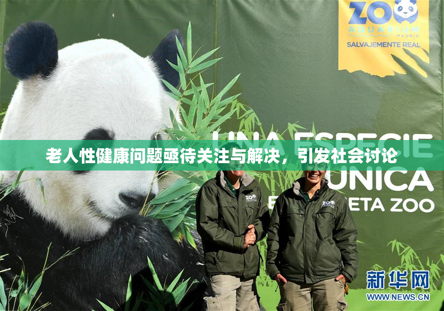 老人性健康问题亟待关注与解决，引发社会讨论