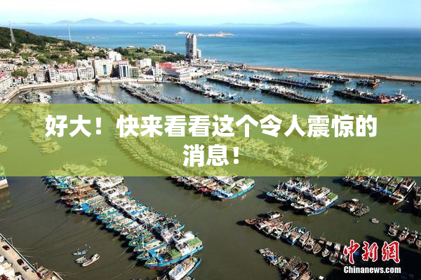 好大！快来看看这个令人震惊的消息！