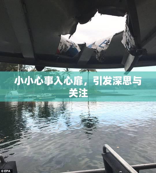 小小心事入心扉，引发深思与关注