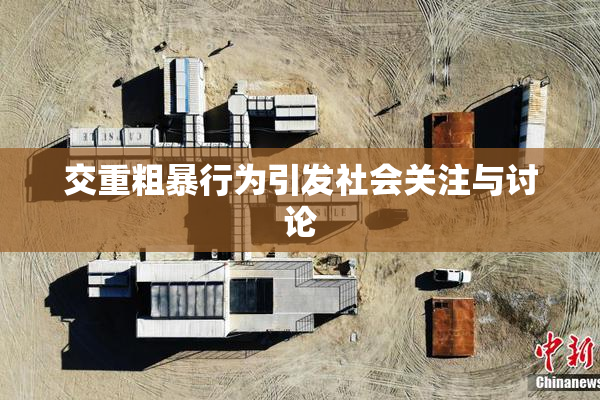 交重粗暴行为引发社会关注与讨论