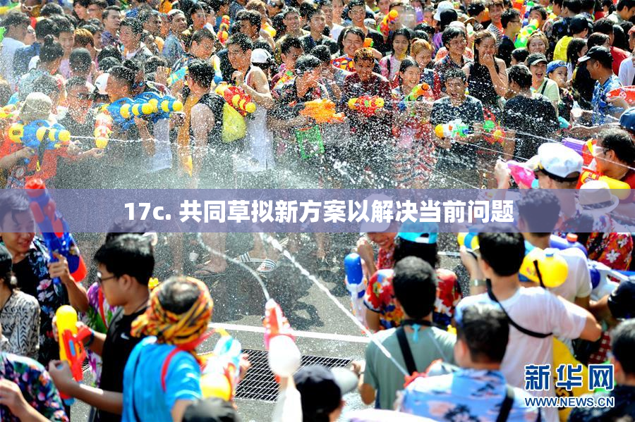 17c. 共同草拟新方案以解决当前问题