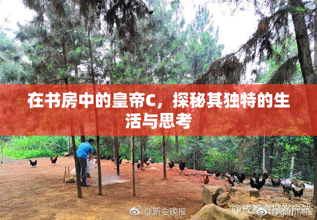 在书房中的皇帝C，探秘其独特的生活与思考