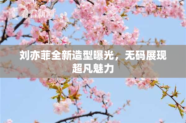 刘亦菲全新造型曝光，无码展现超凡魅力