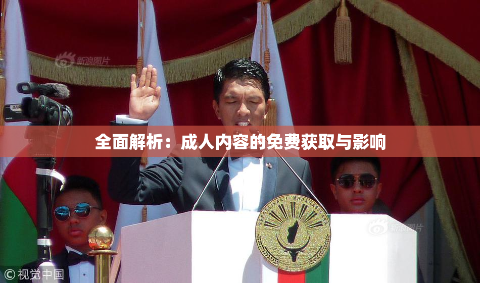 全面解析：成人内容的免费获取与影响