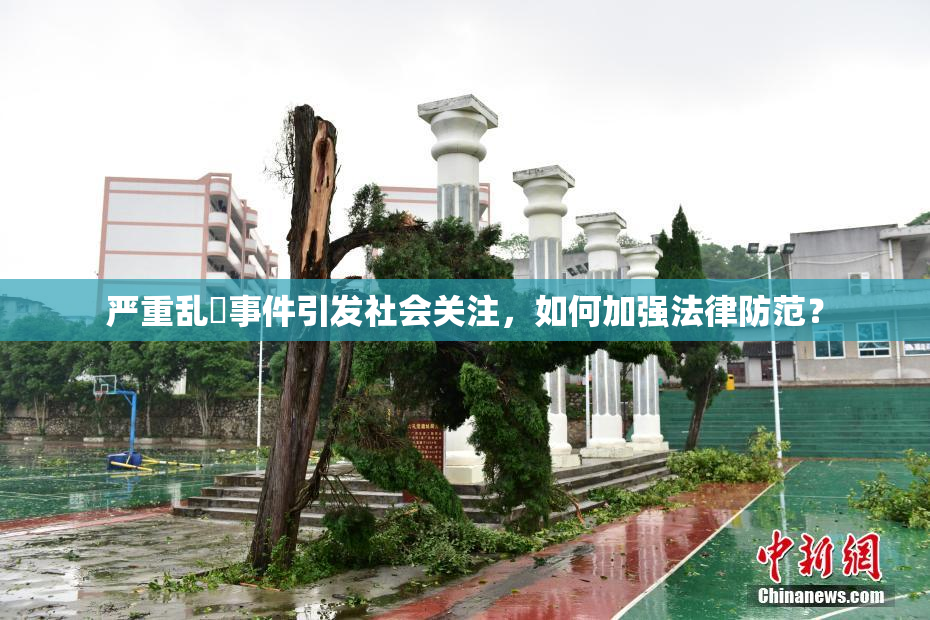 严重乱婬事件引发社会关注，如何加强法律防范？