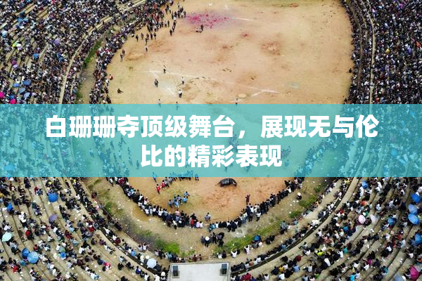 白珊珊夺顶级舞台，展现无与伦比的精彩表现
