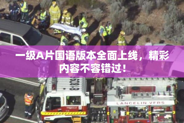 一级A片国语版本全面上线，精彩内容不容错过！
