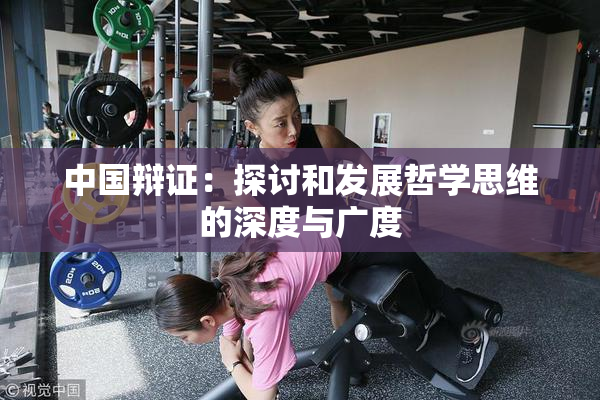中国辩证：探讨和发展哲学思维的深度与广度