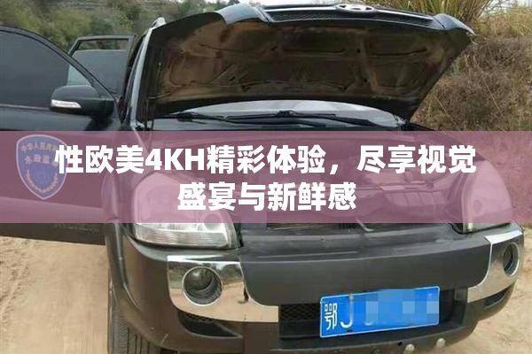 性欧美4KH精彩体验，尽享视觉盛宴与新鲜感