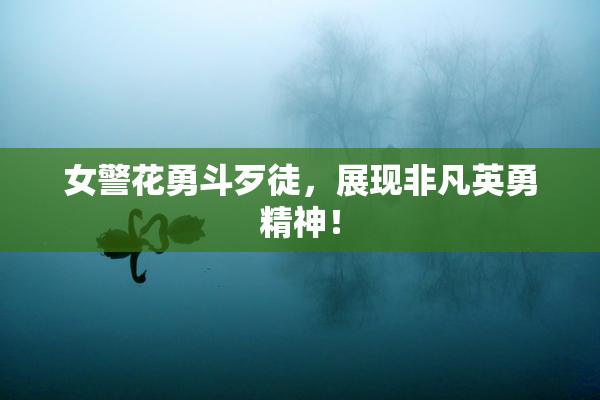 女警花勇斗歹徒，展现非凡英勇精神！