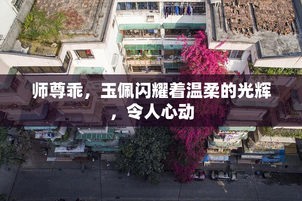 师尊乖，玉佩闪耀着温柔的光辉，令人心动