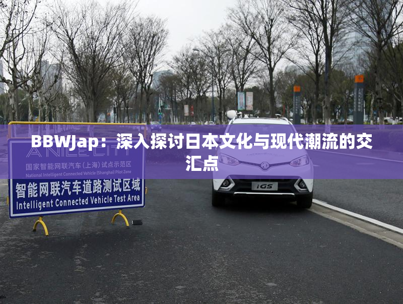 BBWJap：深入探讨日本文化与现代潮流的交汇点
