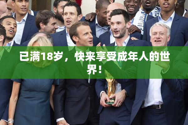 已满18岁，快来享受成年人的世界！