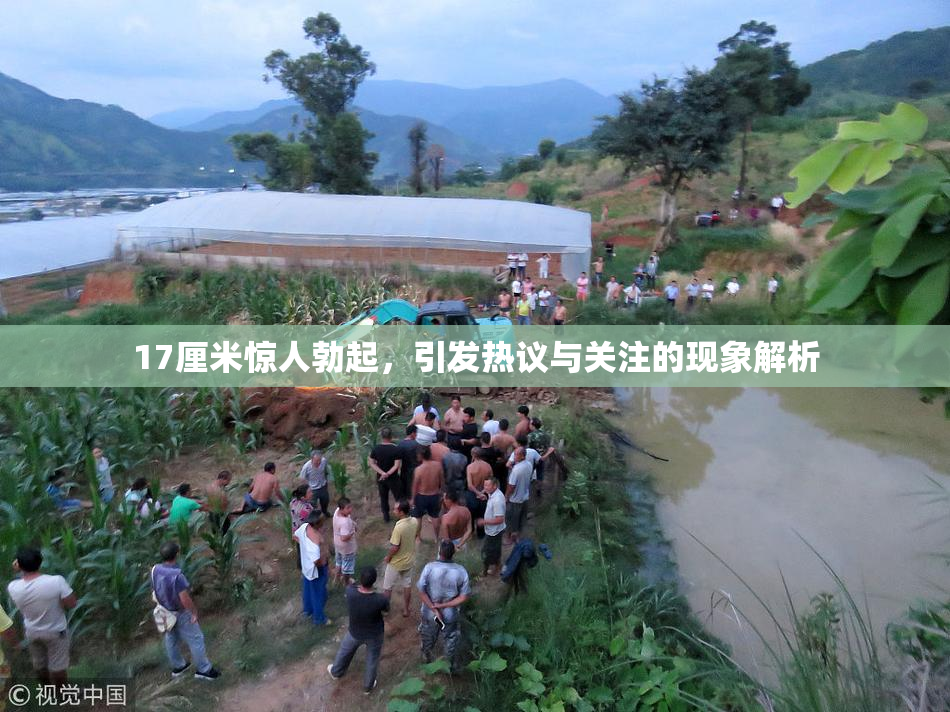 17厘米惊人勃起，引发热议与关注的现象解析