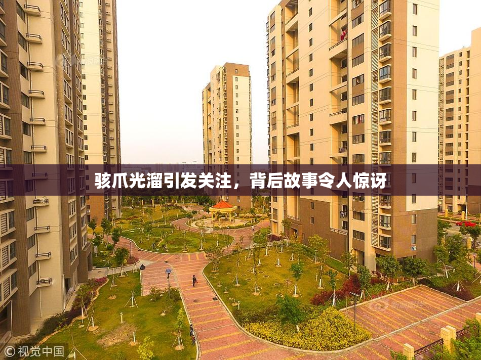骇爪光溜引发关注，背后故事令人惊讶