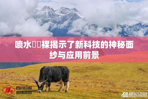 喷水❌‌裸揭示了新科技的神秘面纱与应用前景
