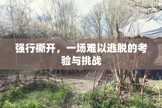 强行撕开，一场难以逃脱的考验与挑战