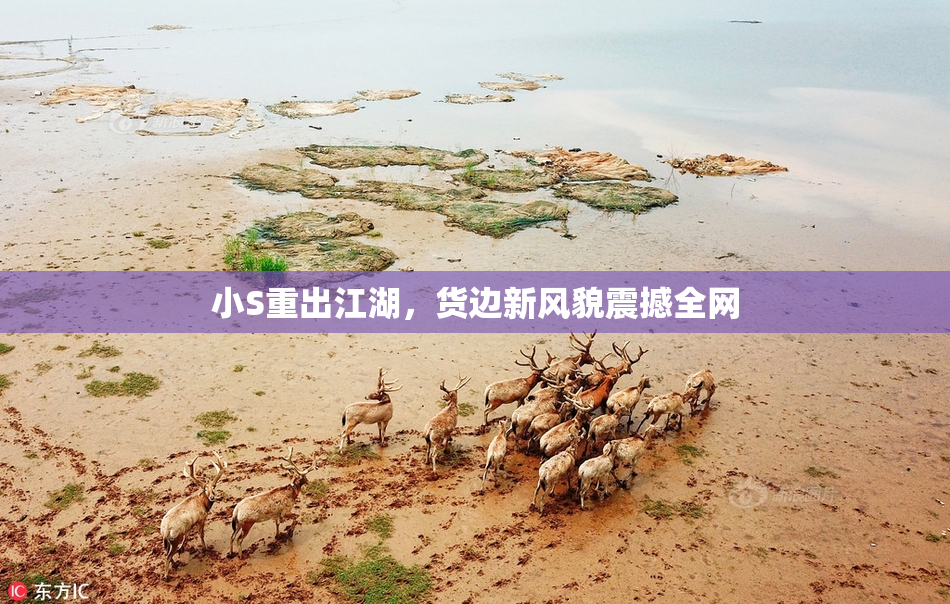 小S重出江湖，货边新风貌震撼全网