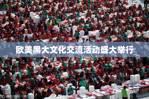 欧美黑大文化交流活动盛大举行