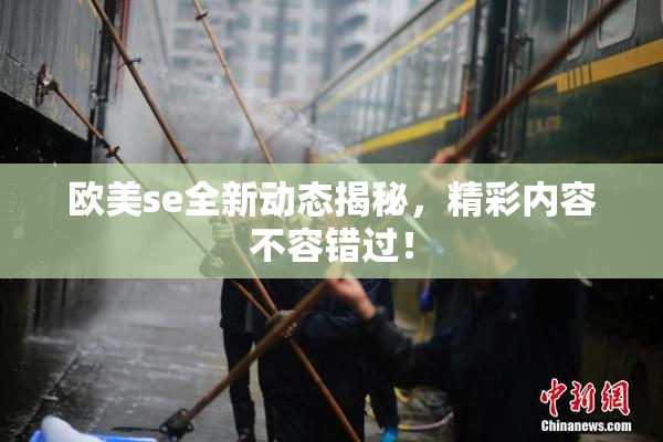 欧美se全新动态揭秘，精彩内容不容错过！
