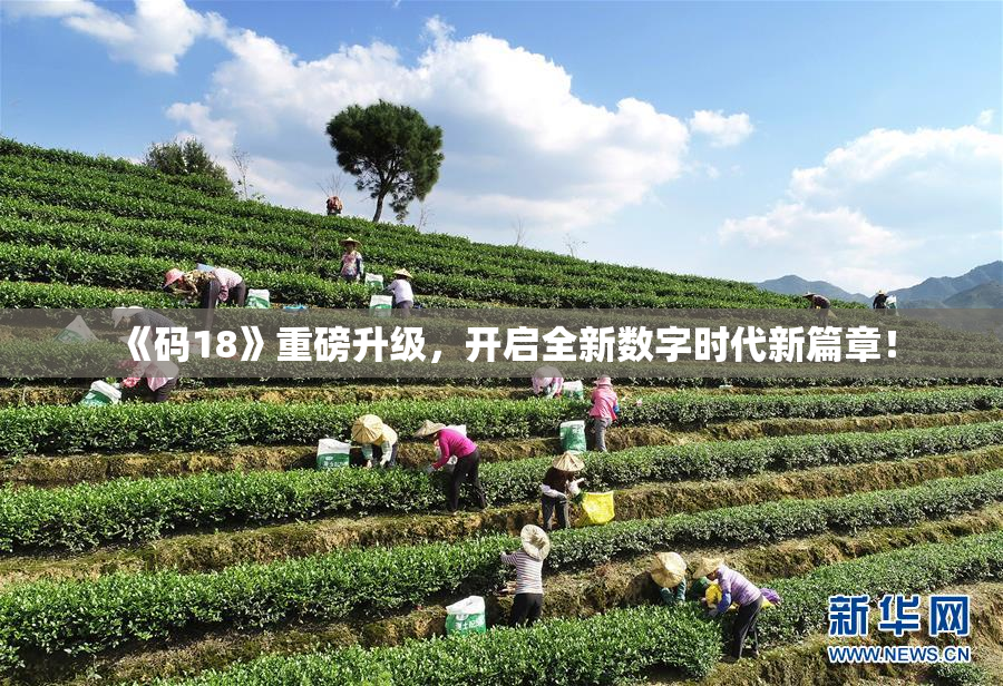《码18》重磅升级，开启全新数字时代新篇章！