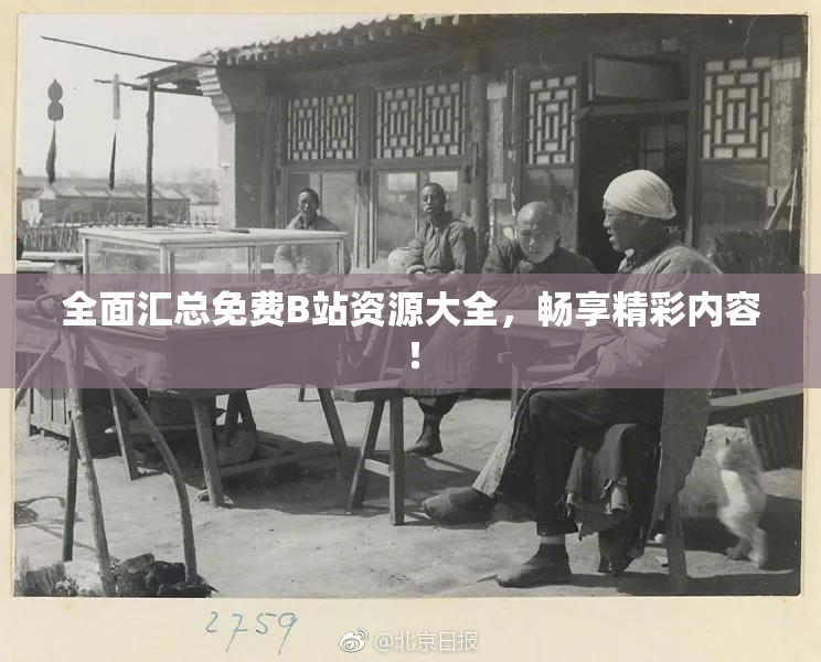 全面汇总免费B站资源大全，畅享精彩内容！