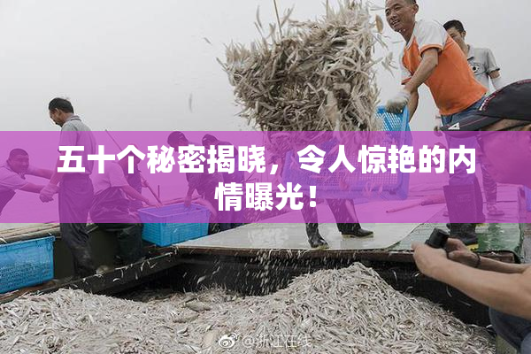 五十个秘密揭晓，令人惊艳的内情曝光！