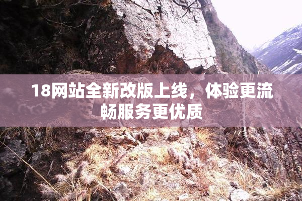 18网站全新改版上线，体验更流畅服务更优质