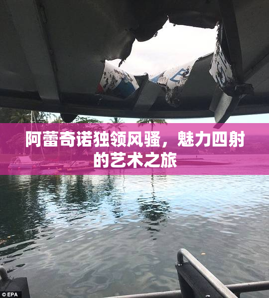 阿蕾奇诺独领风骚，魅力四射的艺术之旅