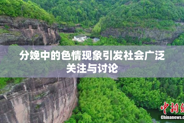 分娩中的色情现象引发社会广泛关注与讨论