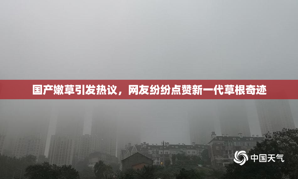 国产嫩草引发热议，网友纷纷点赞新一代草根奇迹